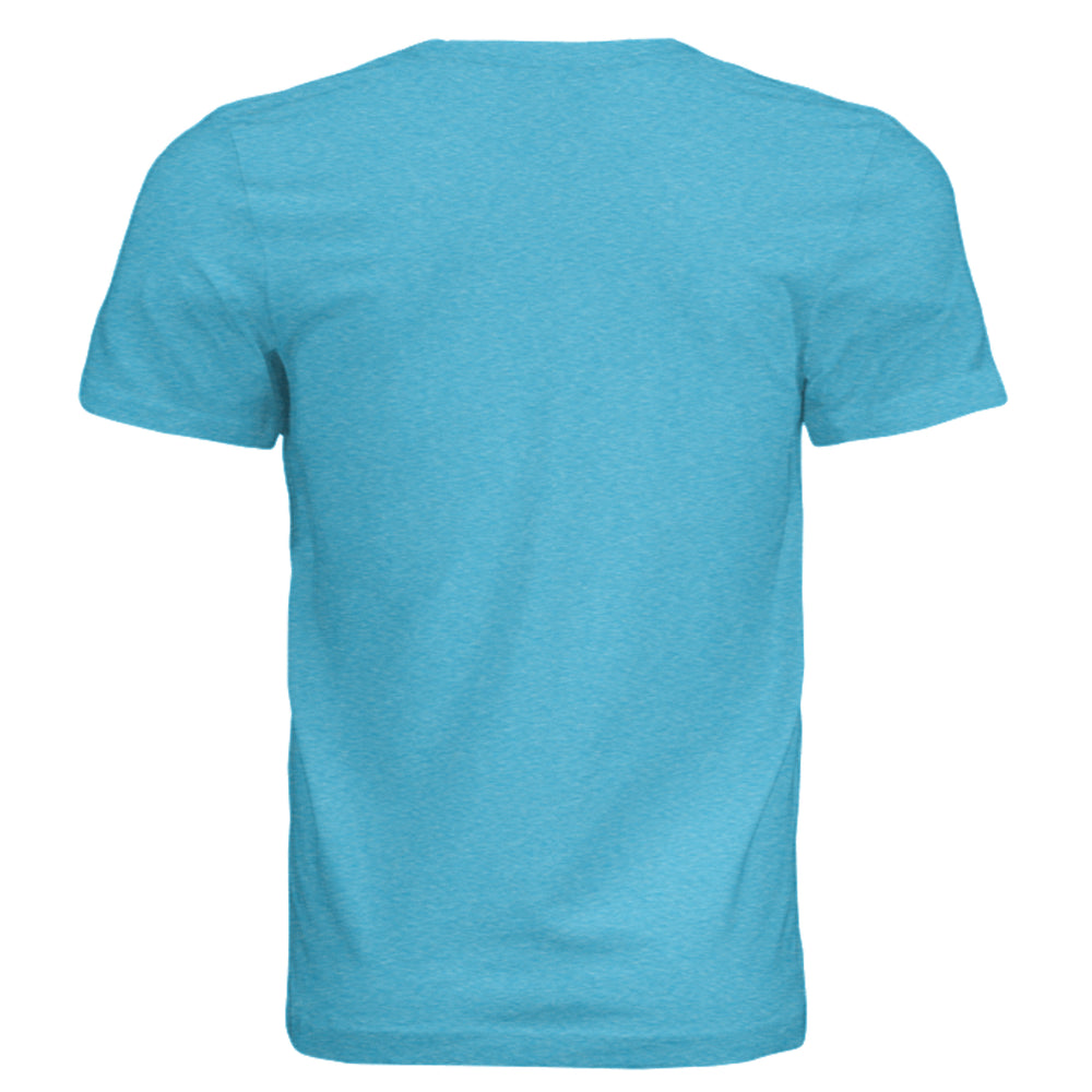 AQUA TRIBLEND - 3413C - BACK