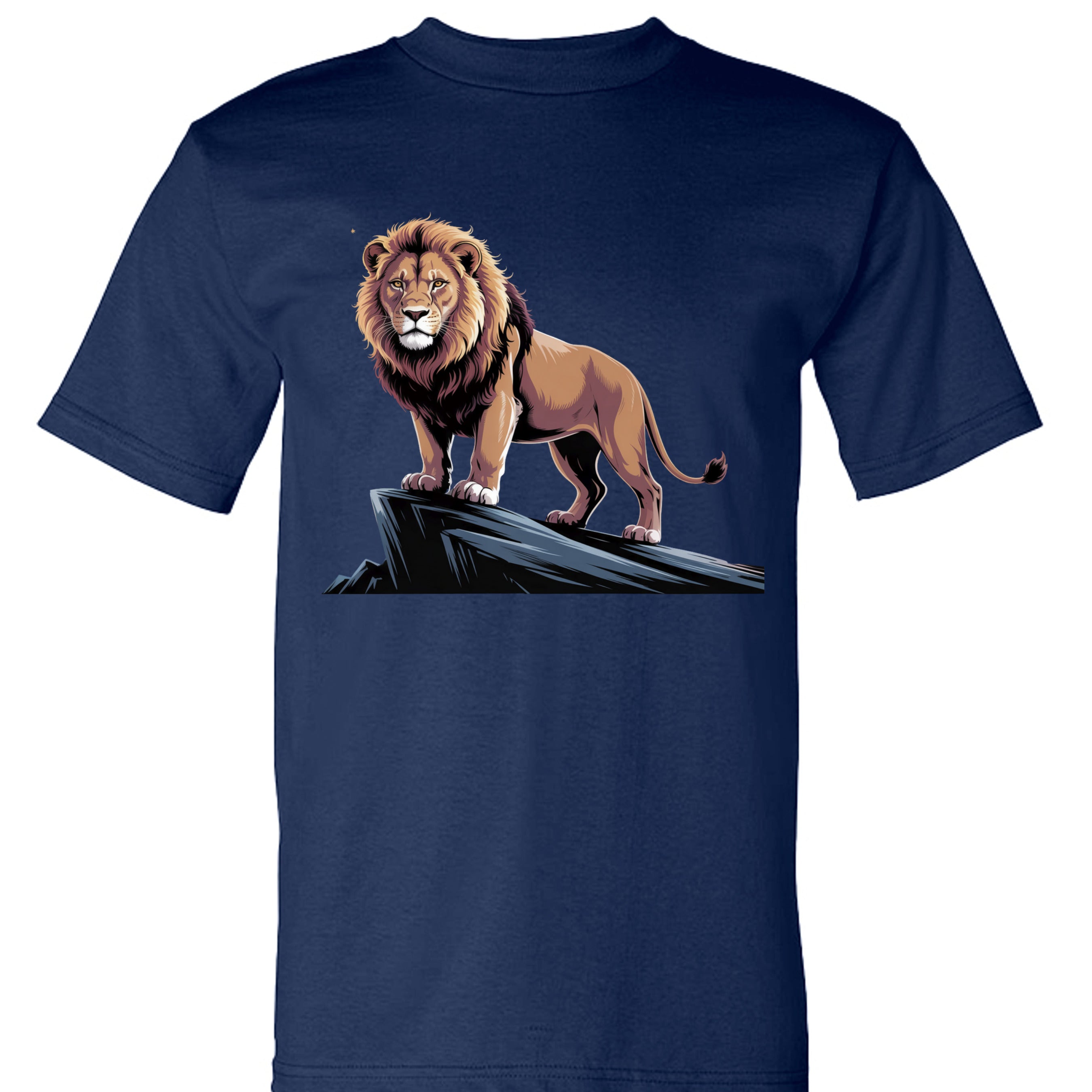 Navy - BA5100 - FRONT