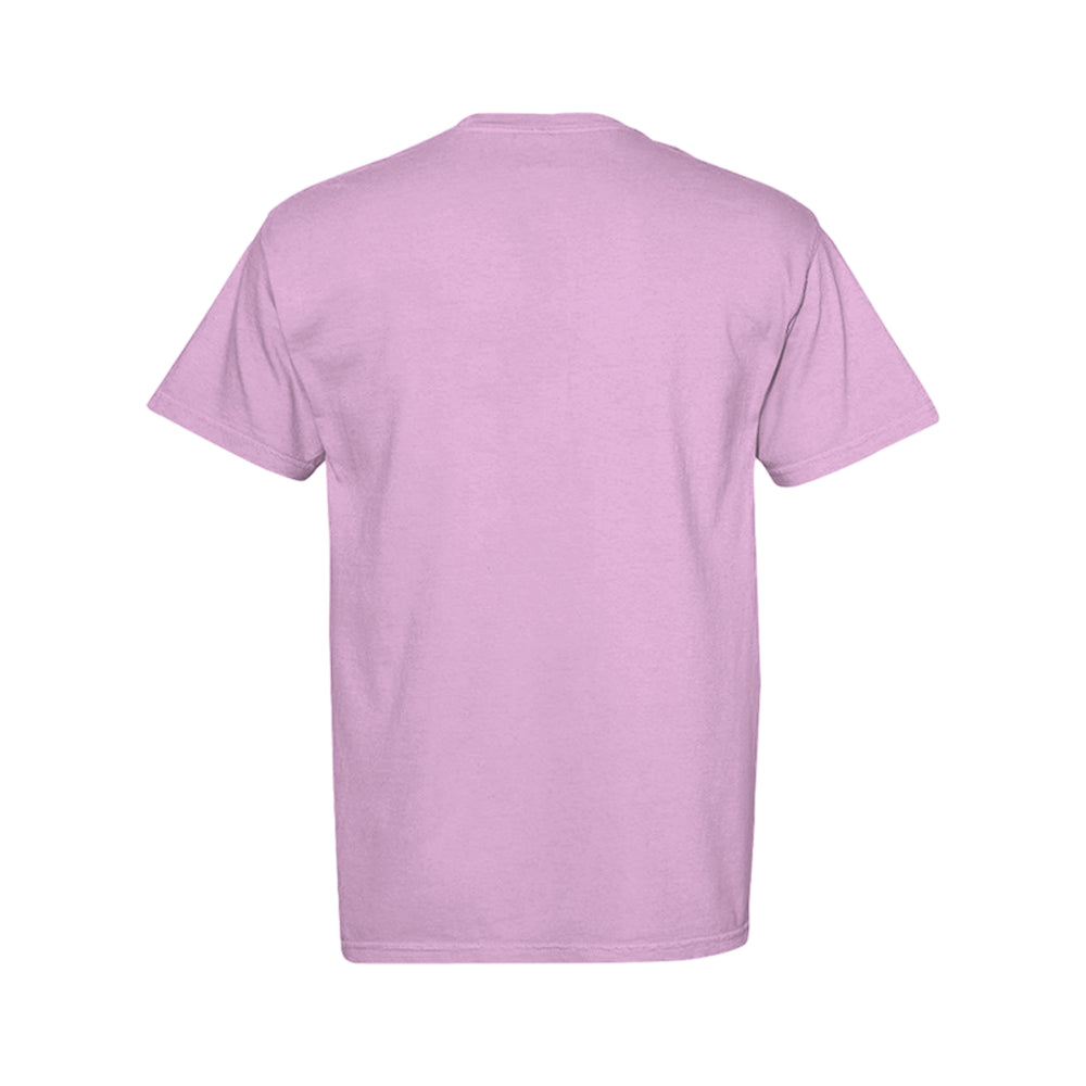 ndm:895587